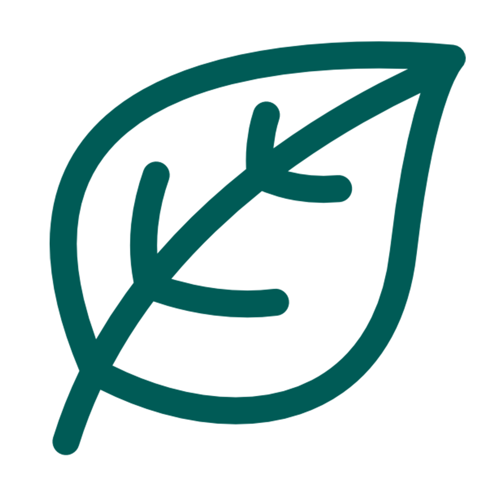 Ícone