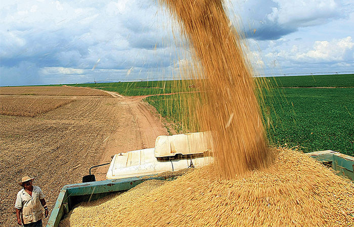 transportadores autônomos no agro